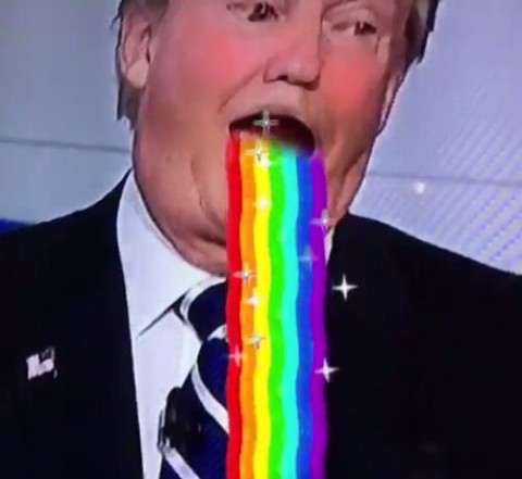 Detail Donald Trump Rainbow Snapchat Nomer 4