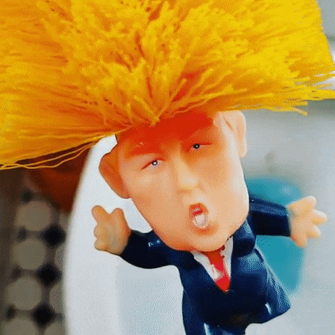 Detail Donald Trump Toilet Scrubber Nomer 36