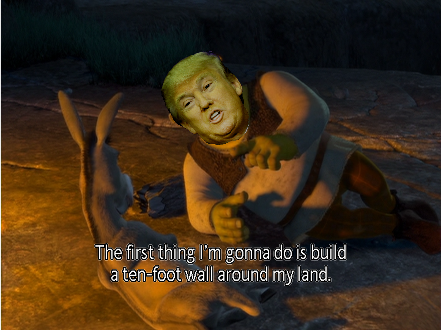 Detail Donald Trump X Shrek Nomer 38