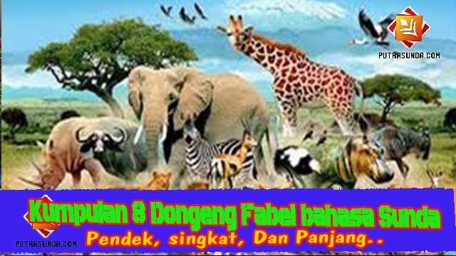 Detail Dongeng Bahasa Jawa Bergambar Nomer 43