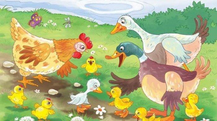 Detail Dongeng Bebek Buruk Rupa Nomer 10