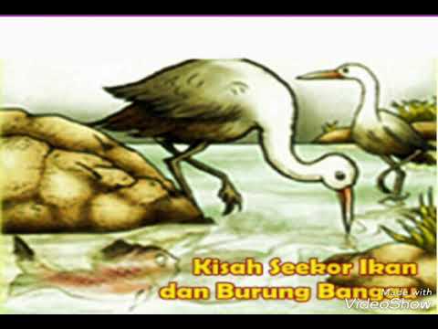 Detail Dongeng Burung Dan Ikan Nomer 13