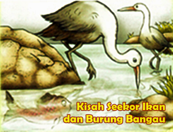 Detail Dongeng Burung Dan Ikan Nomer 18