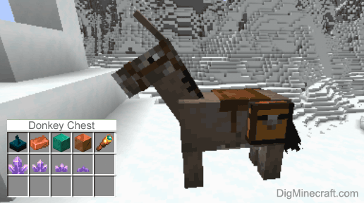 Detail Donkey Chest Minecraft Nomer 22