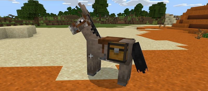 Detail Donkey Chest Minecraft Nomer 23