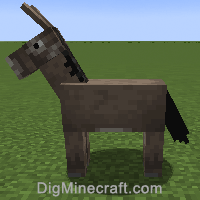 Detail Donkey Chest Minecraft Nomer 25