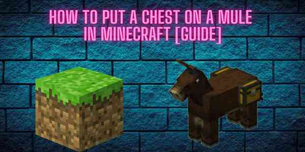 Detail Donkey Chest Minecraft Nomer 35