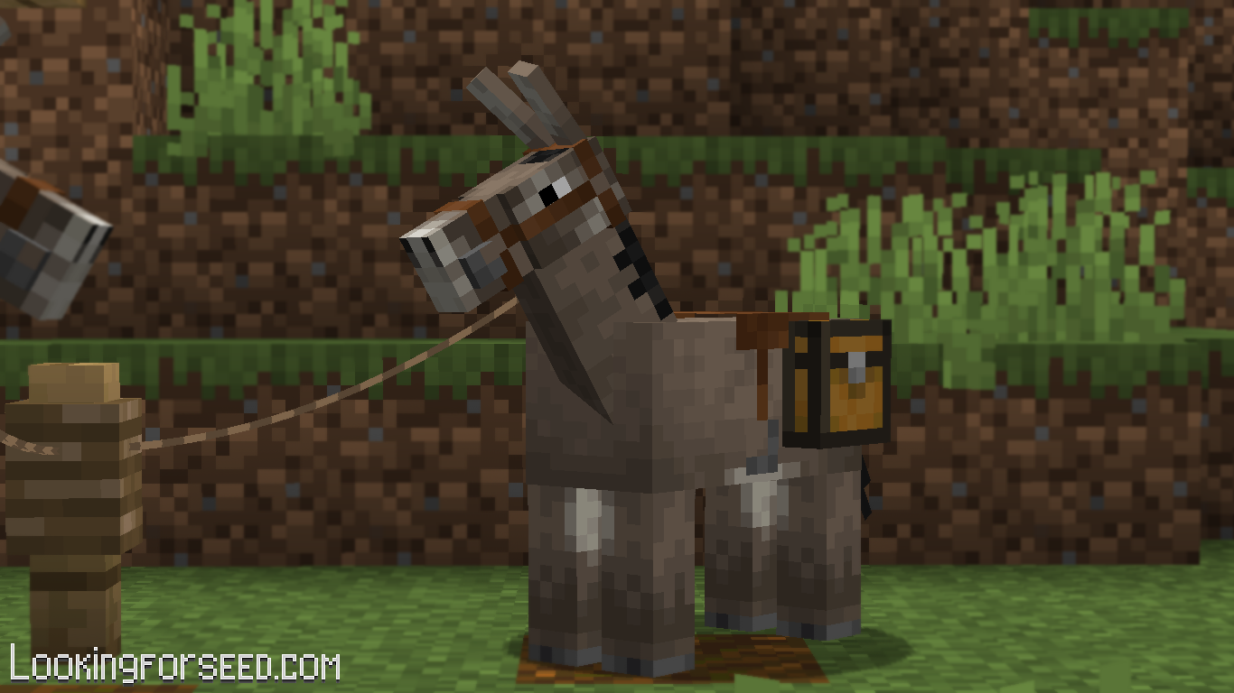 Detail Donkey Chest Minecraft Nomer 42