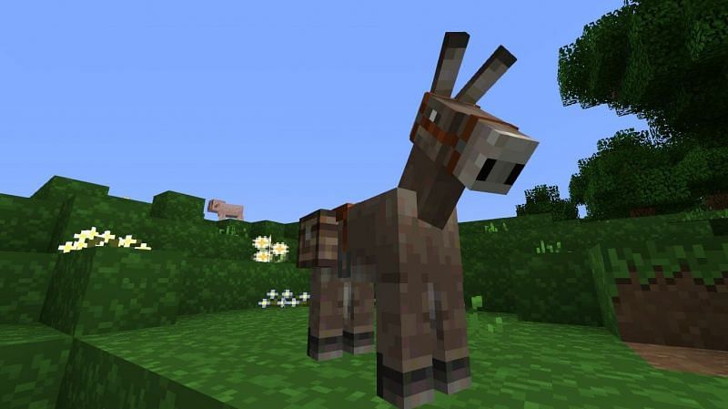 Detail Donkey Chest Minecraft Nomer 44