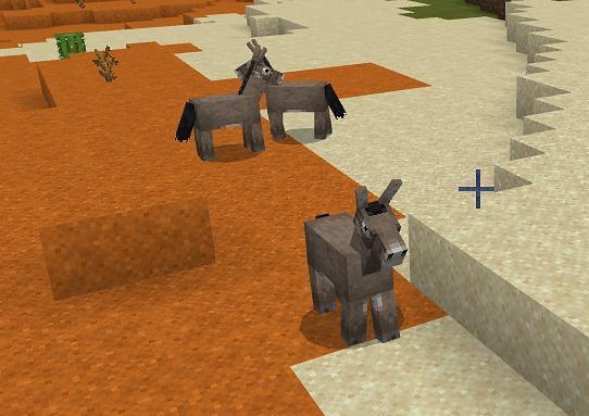 Detail Donkey Chest Minecraft Nomer 49