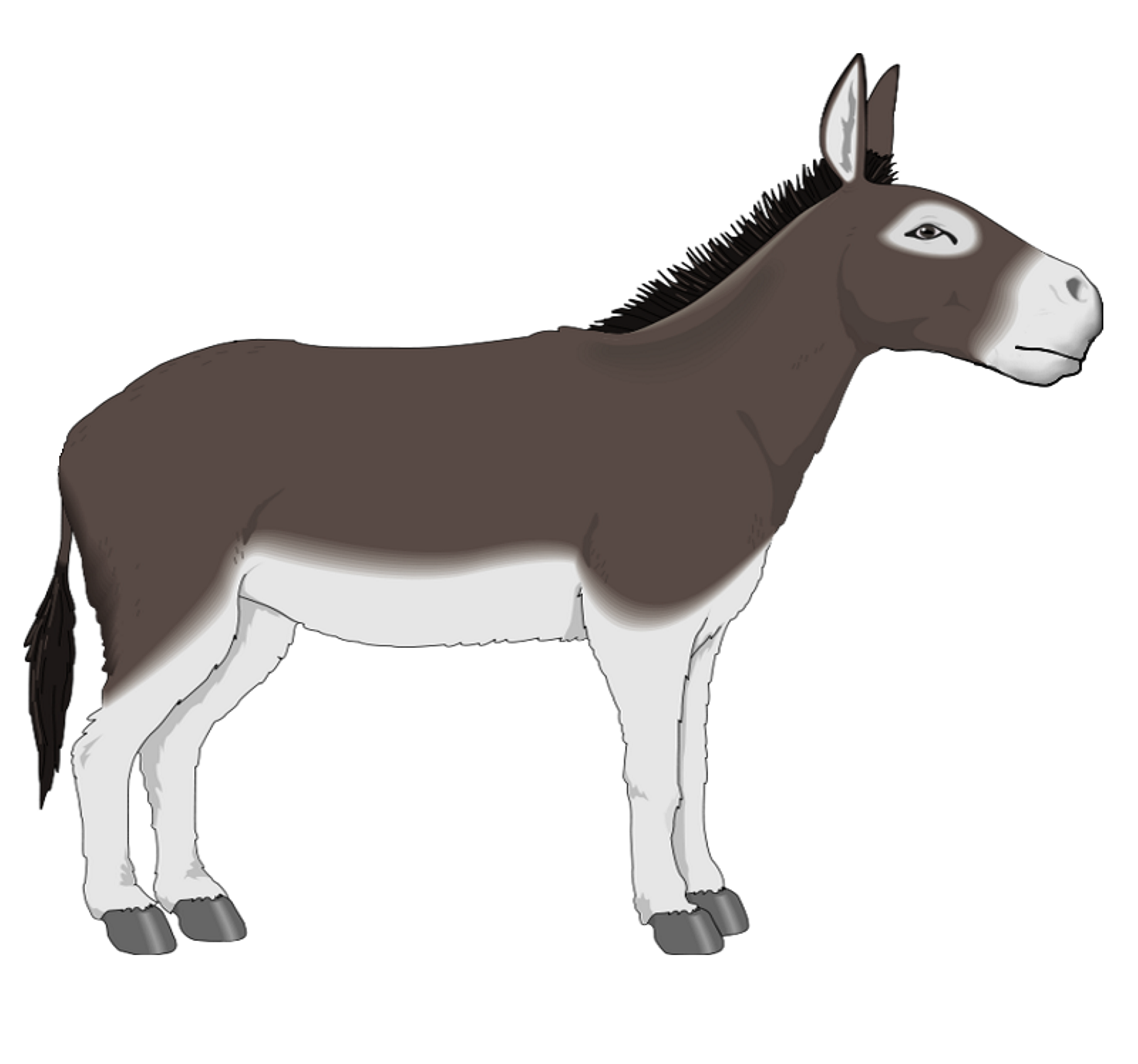 Detail Donkey Clipart Nomer 24