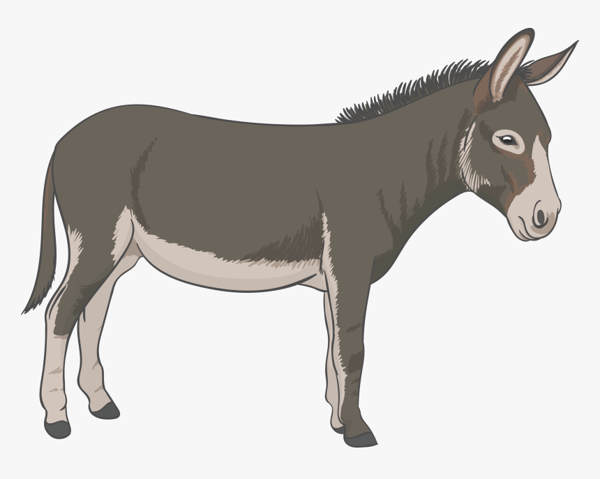 Detail Donkey Downloads Nomer 23
