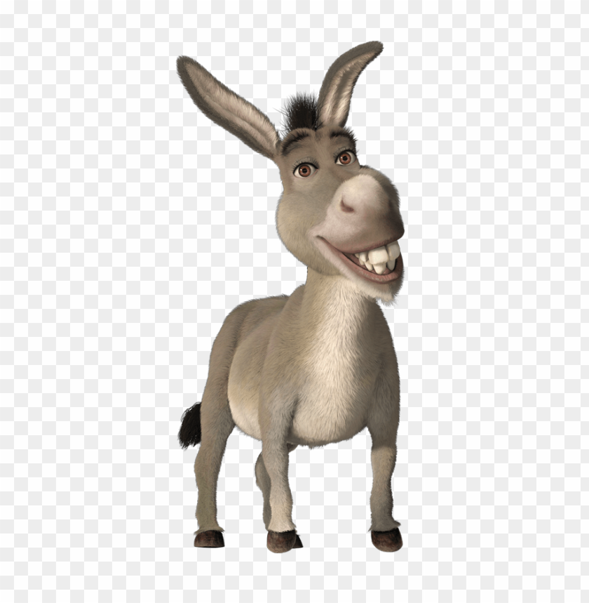Detail Donkey Downloads Nomer 24