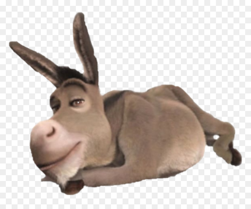 Detail Donkey Downloads Nomer 39