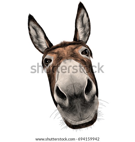 Detail Donkey Face Png Nomer 14
