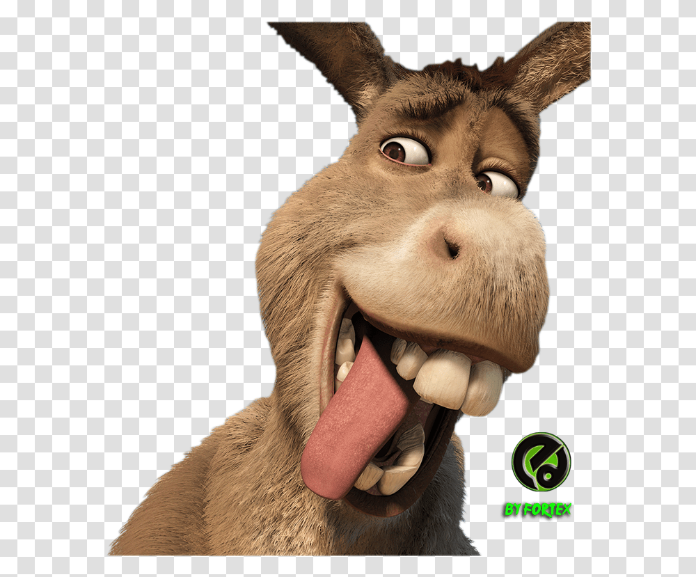 Detail Donkey Face Png Nomer 38