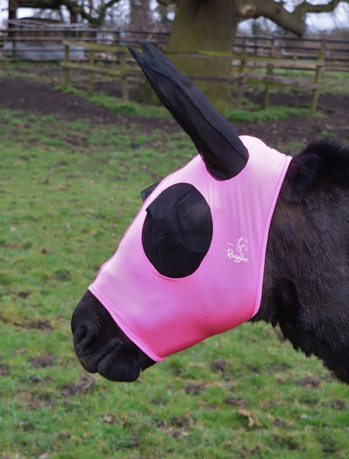 Detail Donkey Fly Mask With Ears Nomer 25