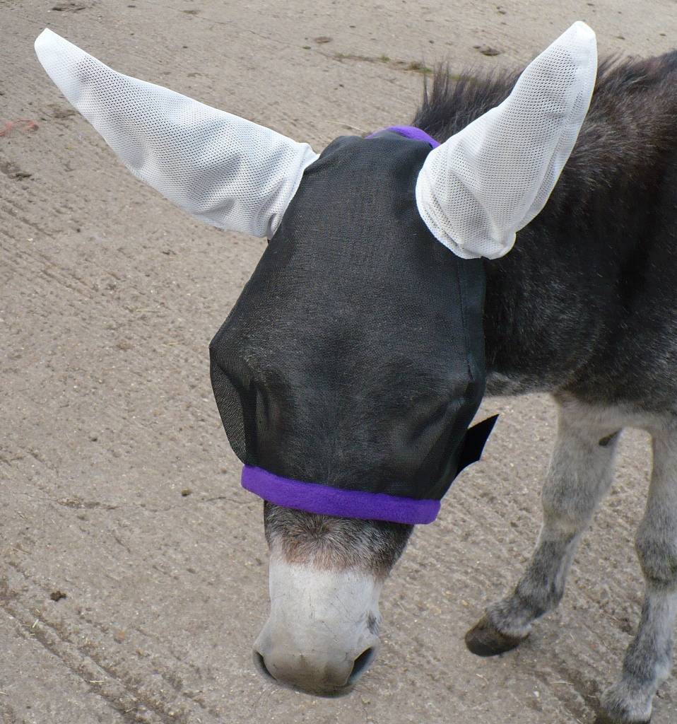 Detail Donkey Fly Mask With Ears Nomer 26