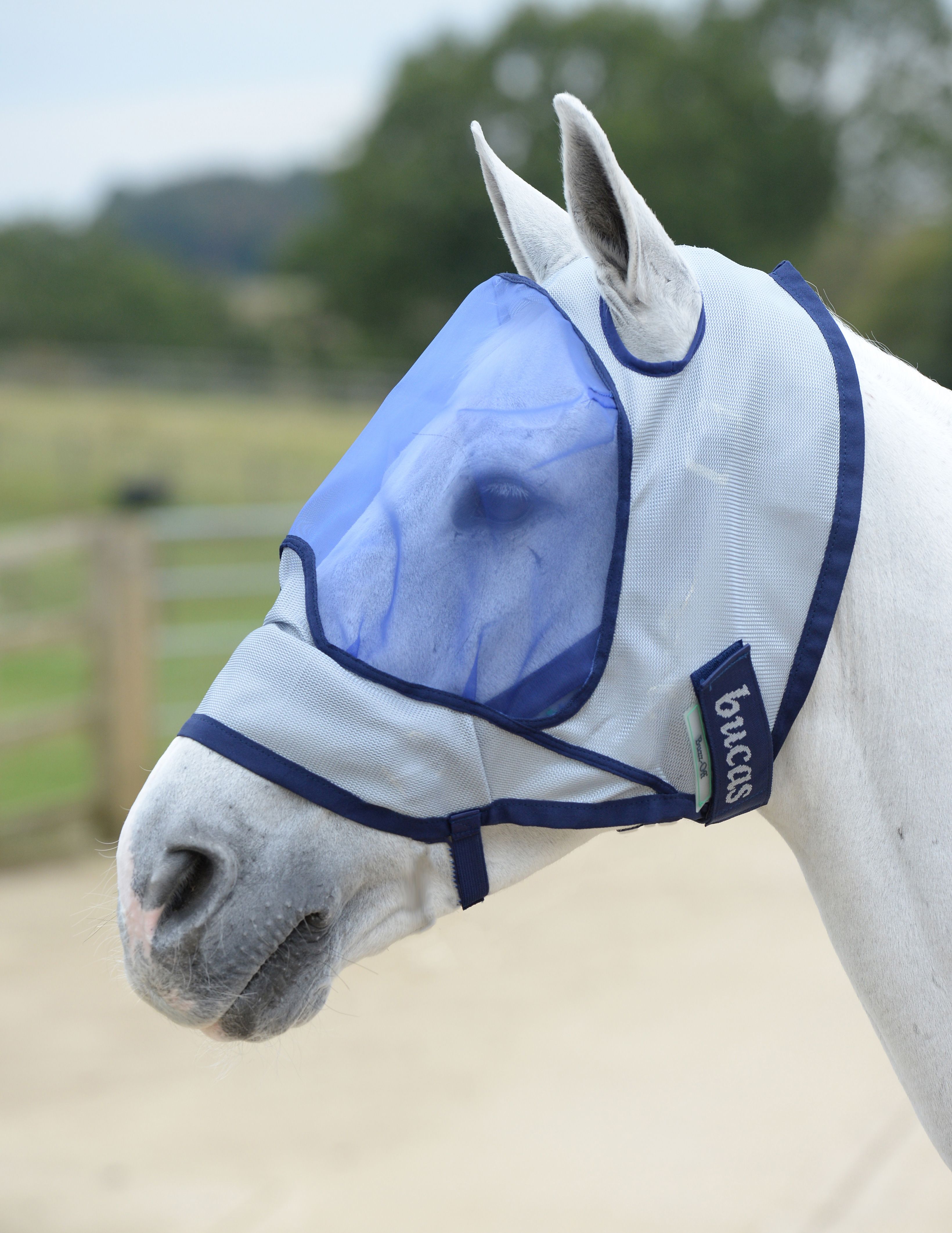 Detail Donkey Fly Mask With Ears Nomer 42