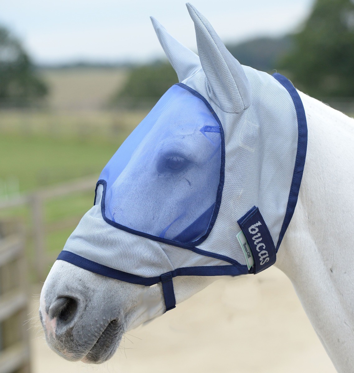 Detail Donkey Fly Mask With Ears Nomer 49