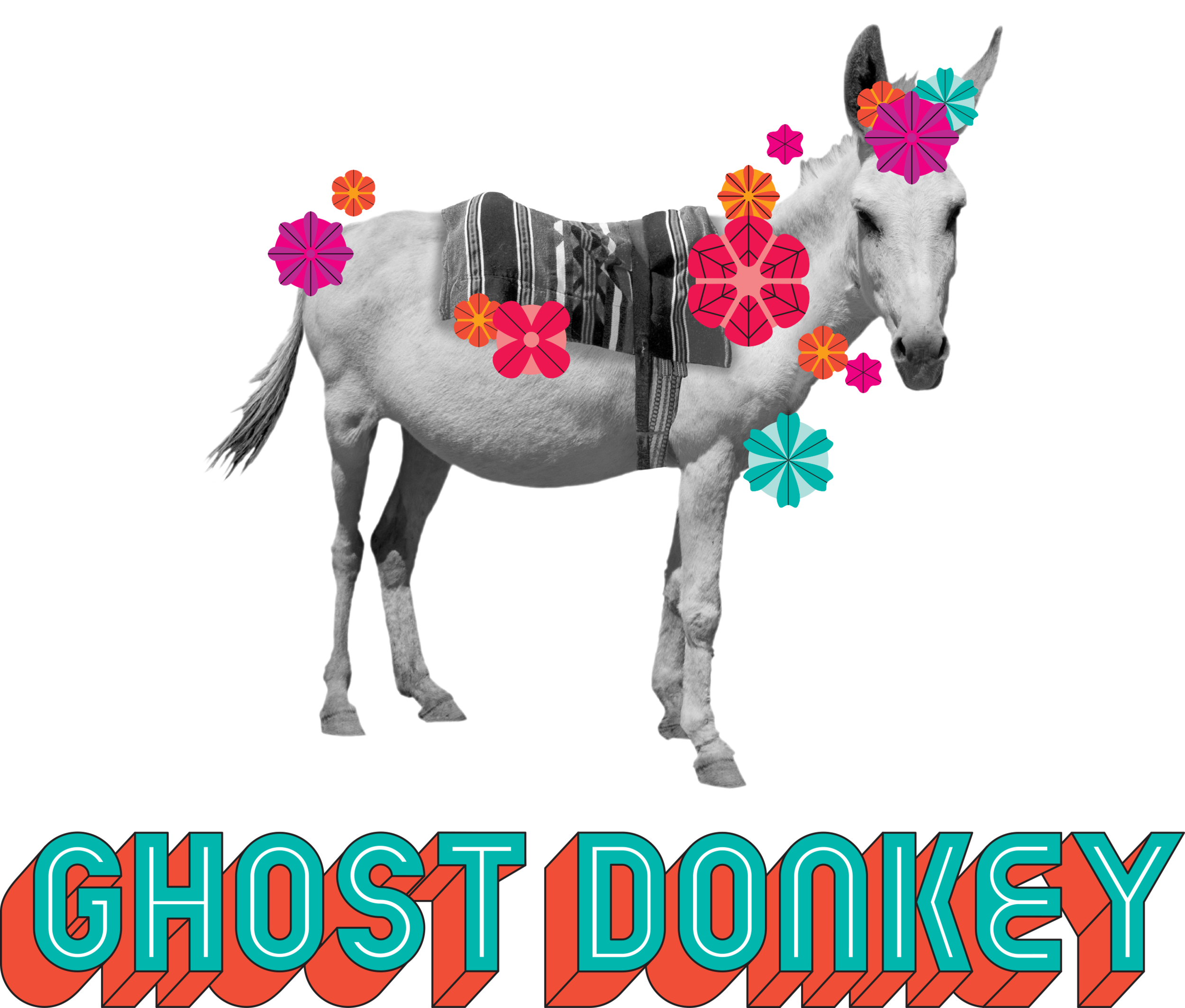 Detail Donkey Image Nomer 49