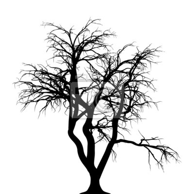 Detail Hintergrund Baum Nomer 15