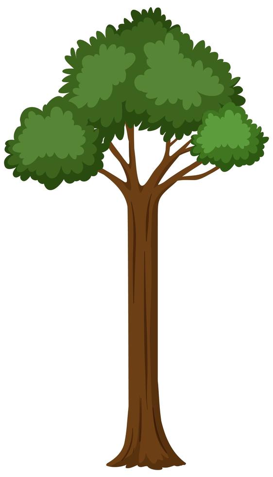 Detail Hintergrund Baum Nomer 8