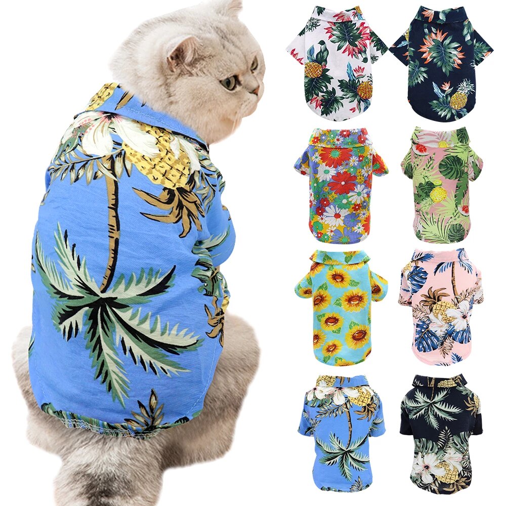 Detail Katzen Hunde Bilder Nomer 15