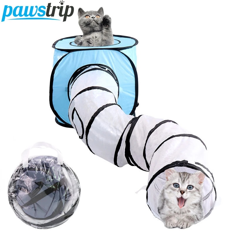 Detail Katzen Hunde Bilder Nomer 26