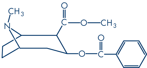 Detail Kerosin Chemische Formel Nomer 3