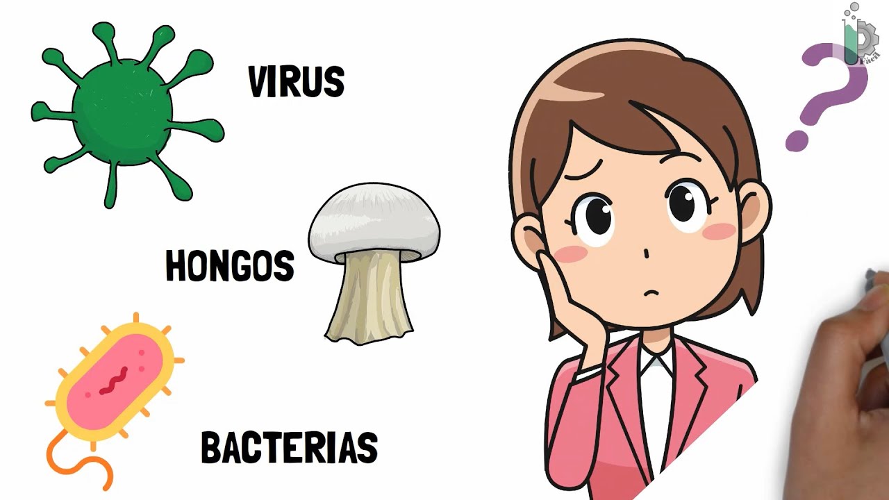 Detail Microbios Dibujos Nomer 13