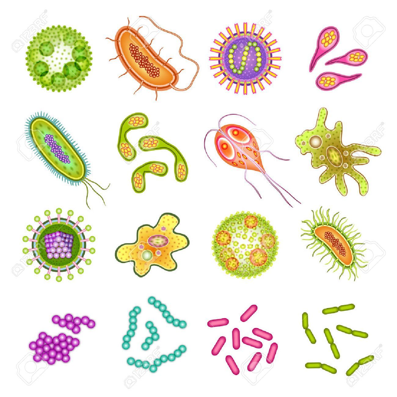 Detail Microbios Dibujos Nomer 5