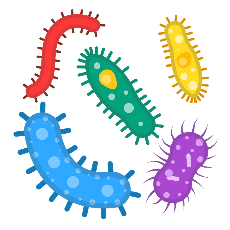 Detail Microbios Dibujos Nomer 6