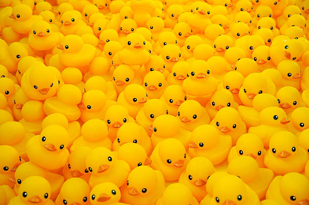 Detail Rubber Duck Background Nomer 2