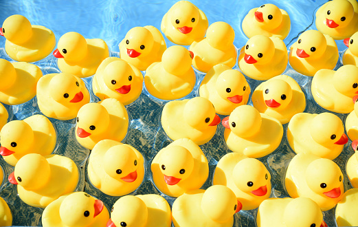 Detail Rubber Duck Background Nomer 12