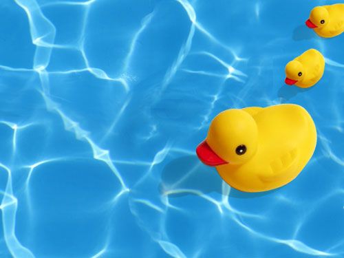 Detail Rubber Duck Background Nomer 4