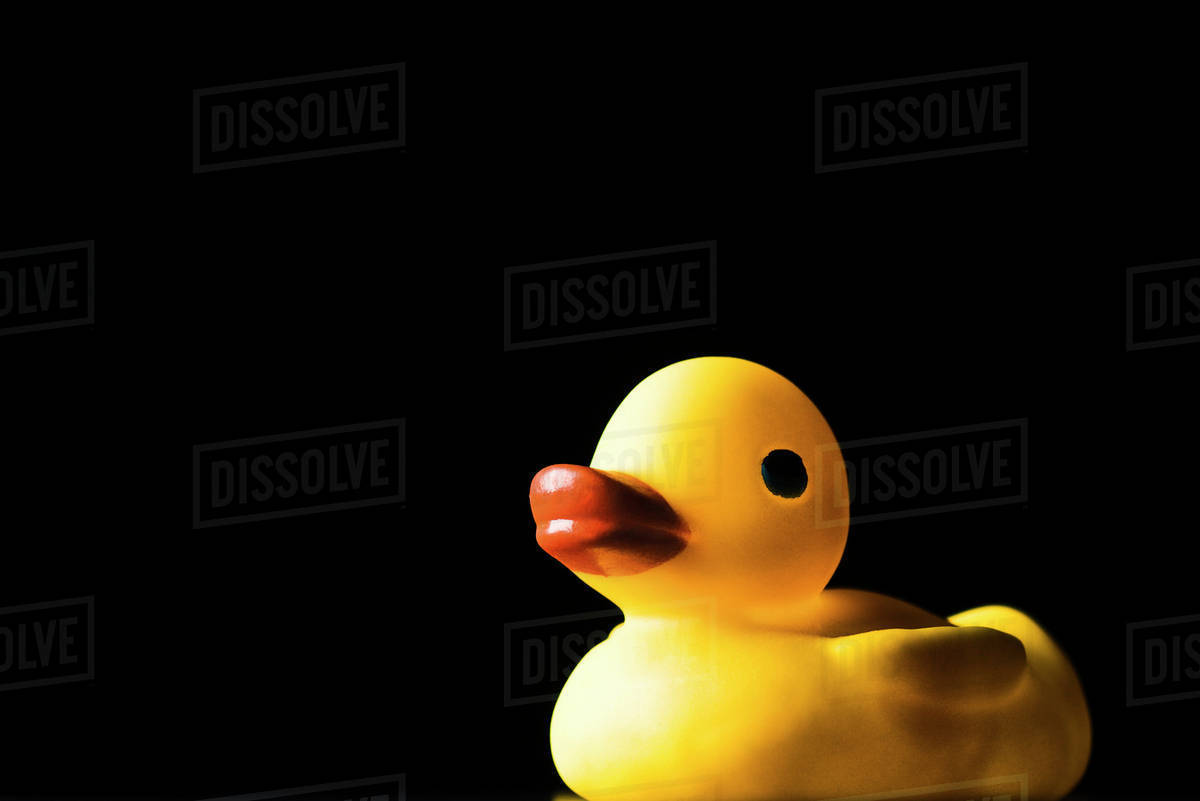 Detail Rubber Duck Background Nomer 43