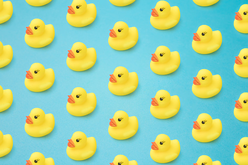 Detail Rubber Duck Background Nomer 10