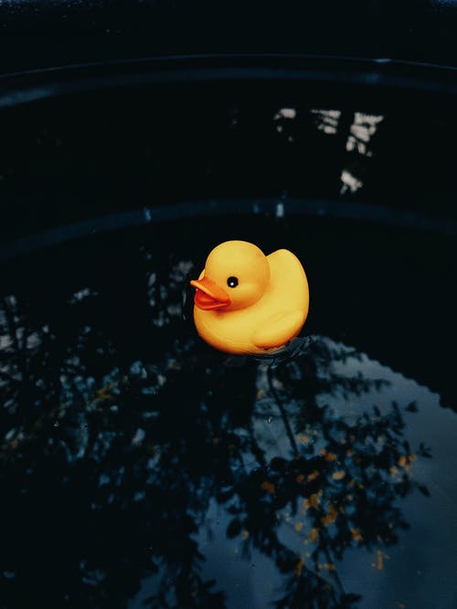 Detail Rubber Duck Backgrounds Nomer 23