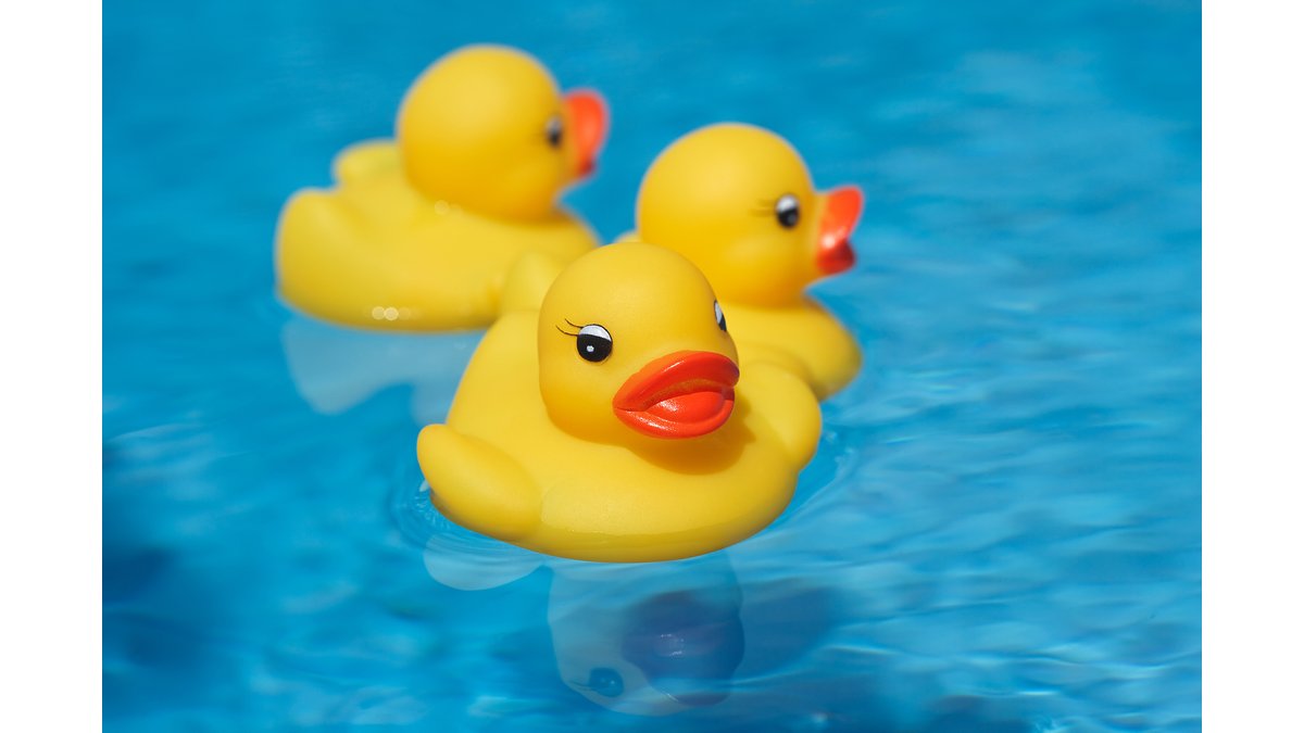 Detail Rubber Duck Images Nomer 16