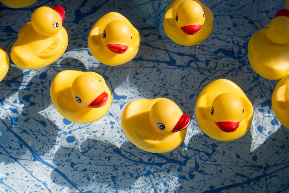 Detail Rubber Duck Images Nomer 33