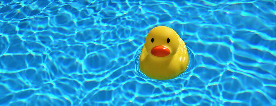 Detail Rubber Duck Images Free Nomer 13