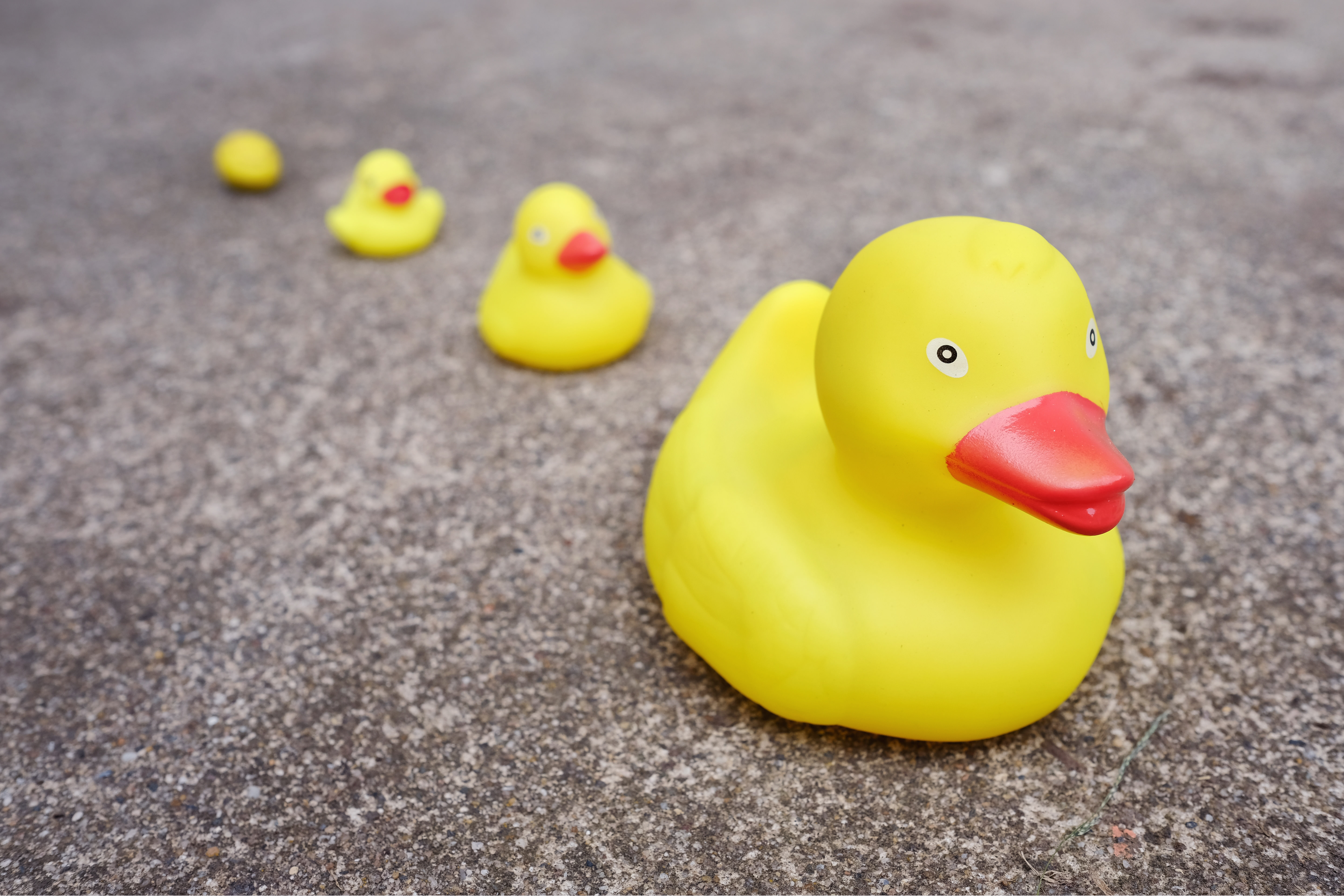 Detail Rubber Duck Images Free Nomer 30