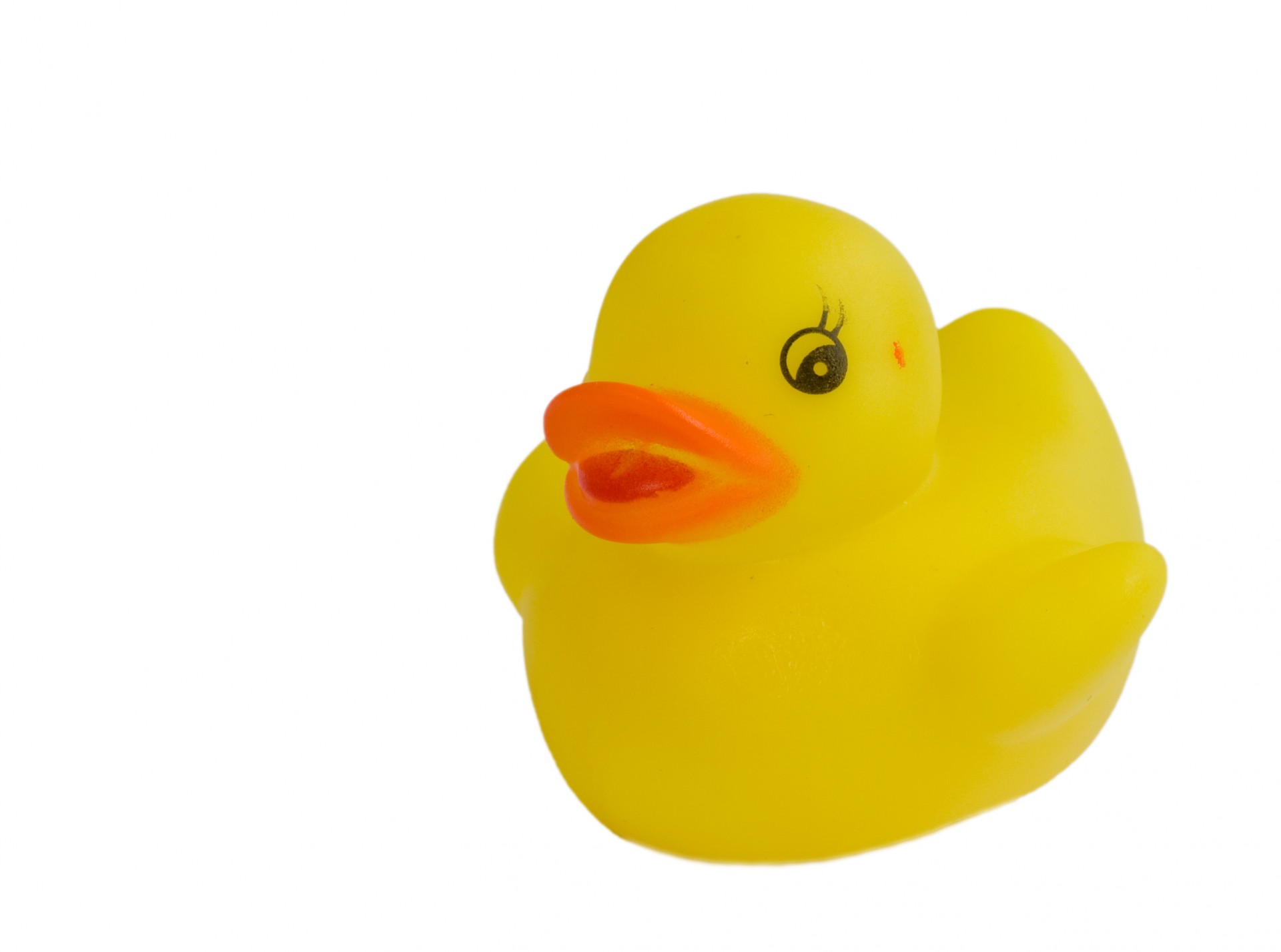 Detail Rubber Duck Images Free Nomer 49