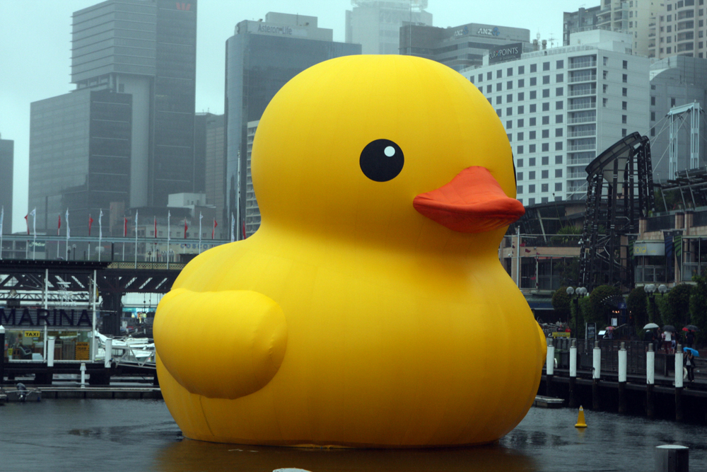 Detail Rubber Duck Photos Nomer 15