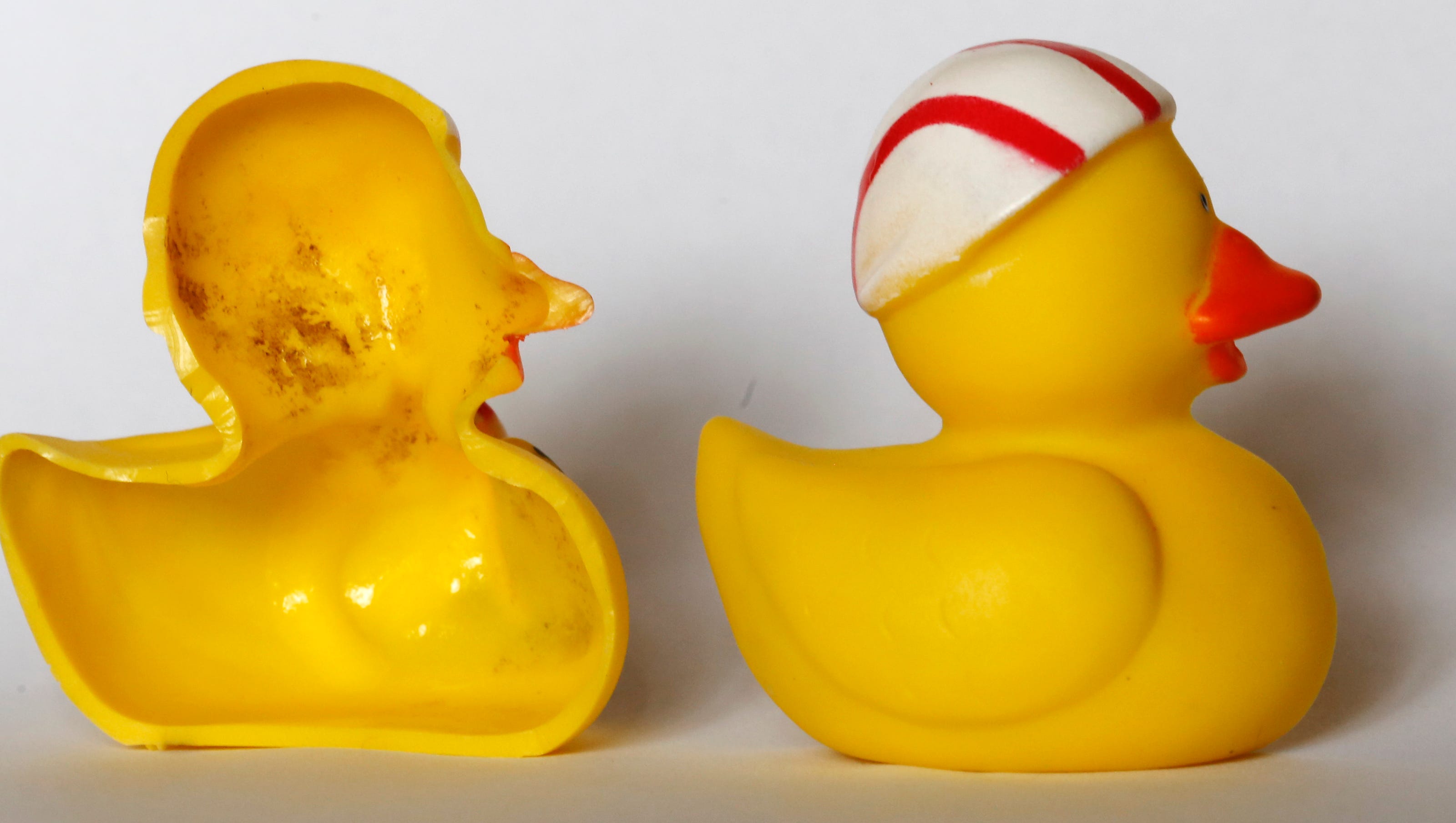 Detail Rubber Duck Photos Nomer 46