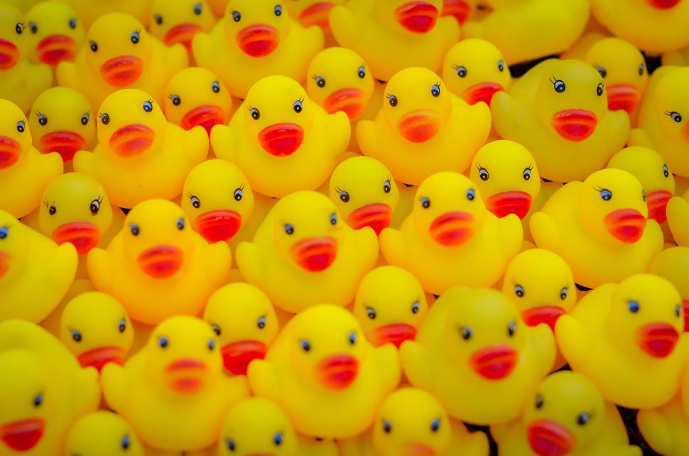 Detail Rubber Duck Pictures Free Nomer 22