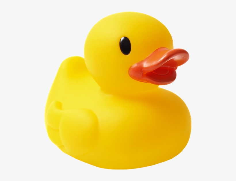 Detail Rubber Duck Transparent Nomer 12