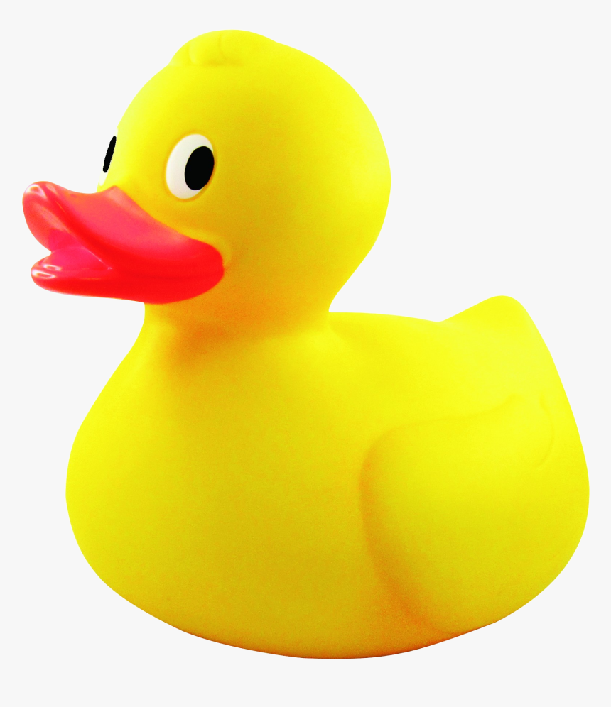 Detail Rubber Duck Transparent Nomer 14