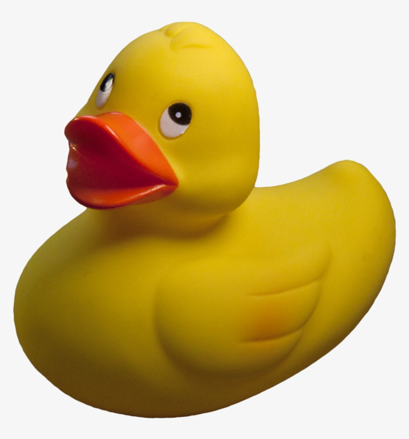 Detail Rubber Duck Transparent Nomer 16